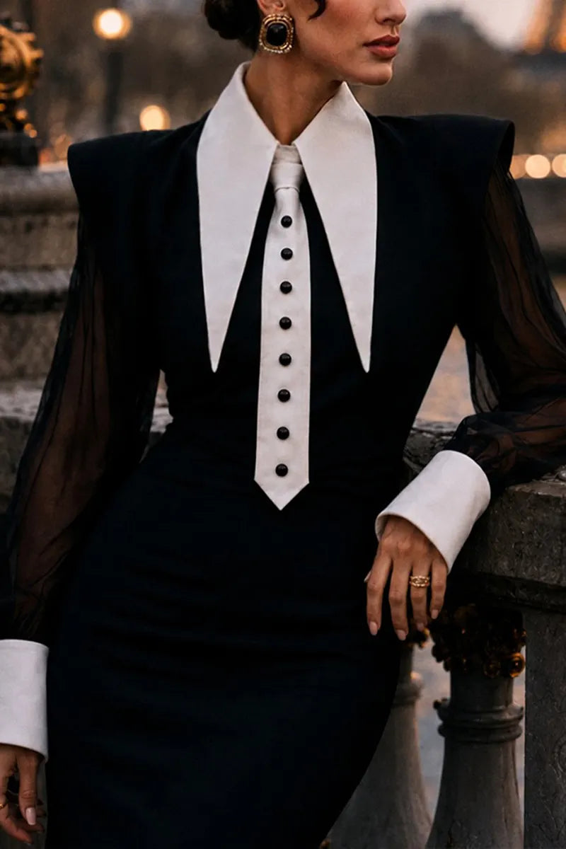 Women's Elegant Mesh Puff-Sleeve Shirts or Fishtail Skirt